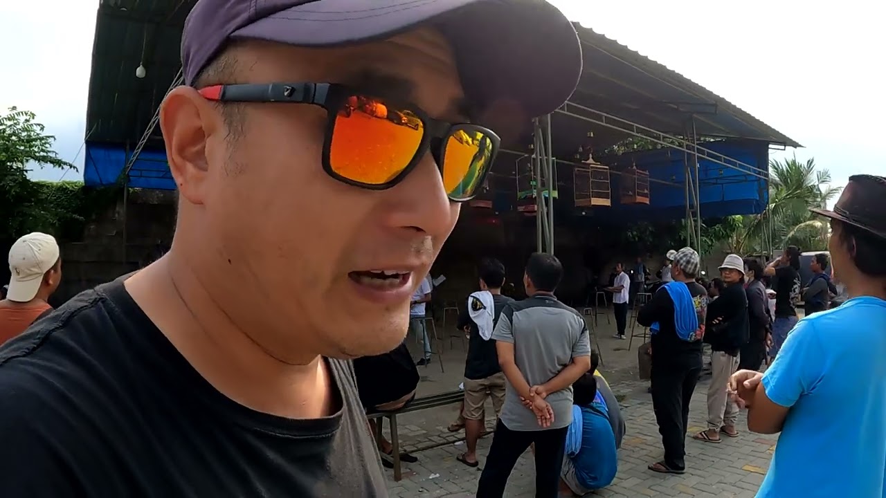 印尼赛鸟，每逢周末，鸟友们相互交流，切磋，看谁养的鸟叫声大！918