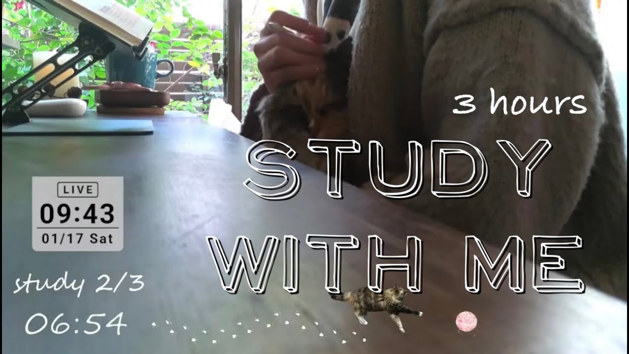 Study with me | pomodoro 50/10 | 