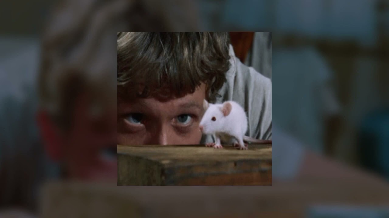 Willard! - Will Wood (sped up) 🐀