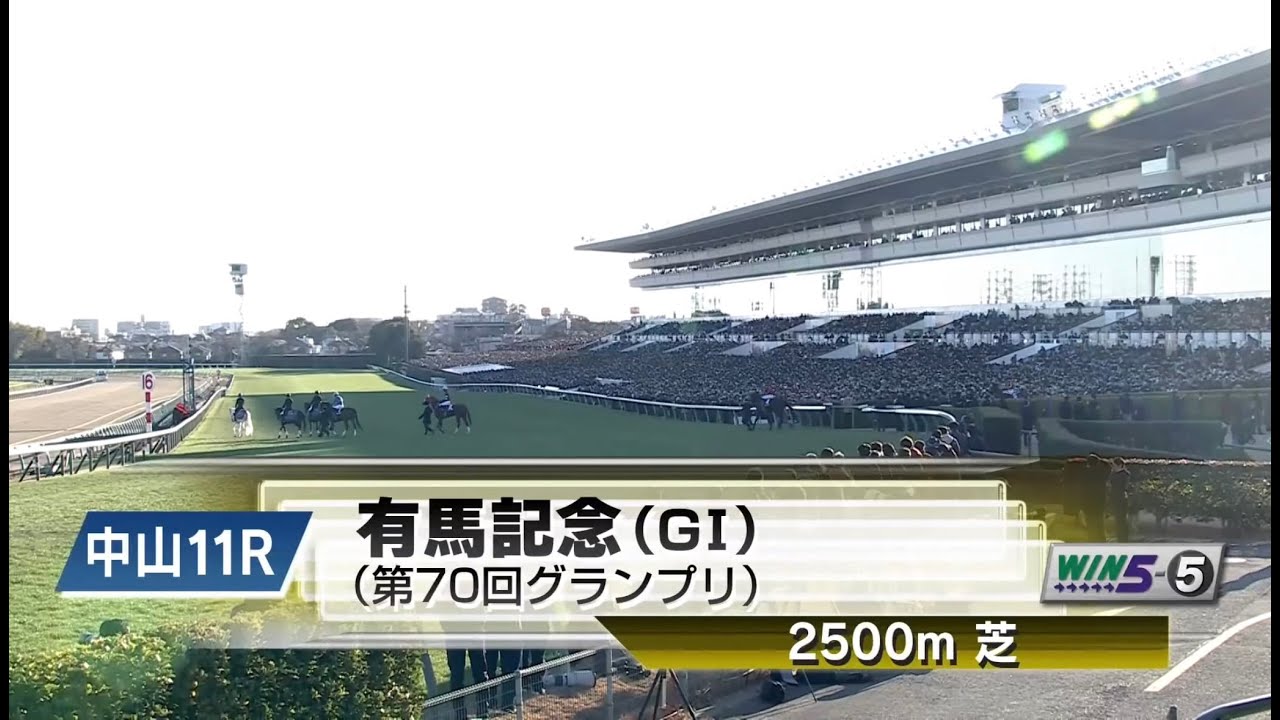 【本馬場入場】2025年12月28日 第70回 有馬記念(G1) ミュージアムマイル/C.デムーロ