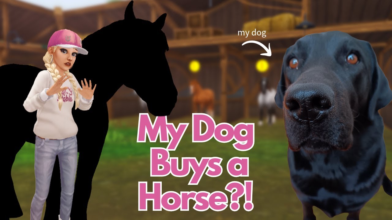 Моя собака выбирает, какую лошадь мне купить?! || Star Stable