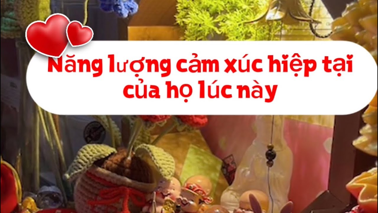 Năng lượng cảm xúc hiện tại của họ lúc này