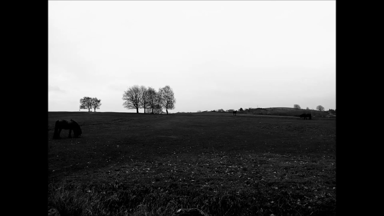 Ben Zulu - Heath Common (Beware Horses Stare) (Album Re-Release)