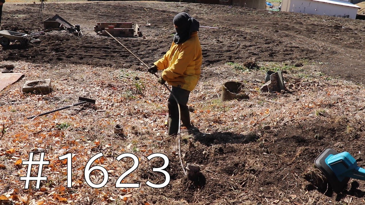 地中の遺物＆地下茎探しにピリオドを！水道パイプももりもり掘り上げます｜竹株も三本ボコッと掘り上げ完了１