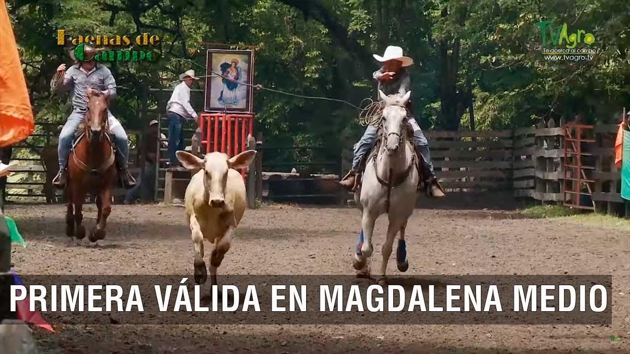 Primera válida en Magdalena medio- TvAgro por Juan Gonzalo Angel Restrepo