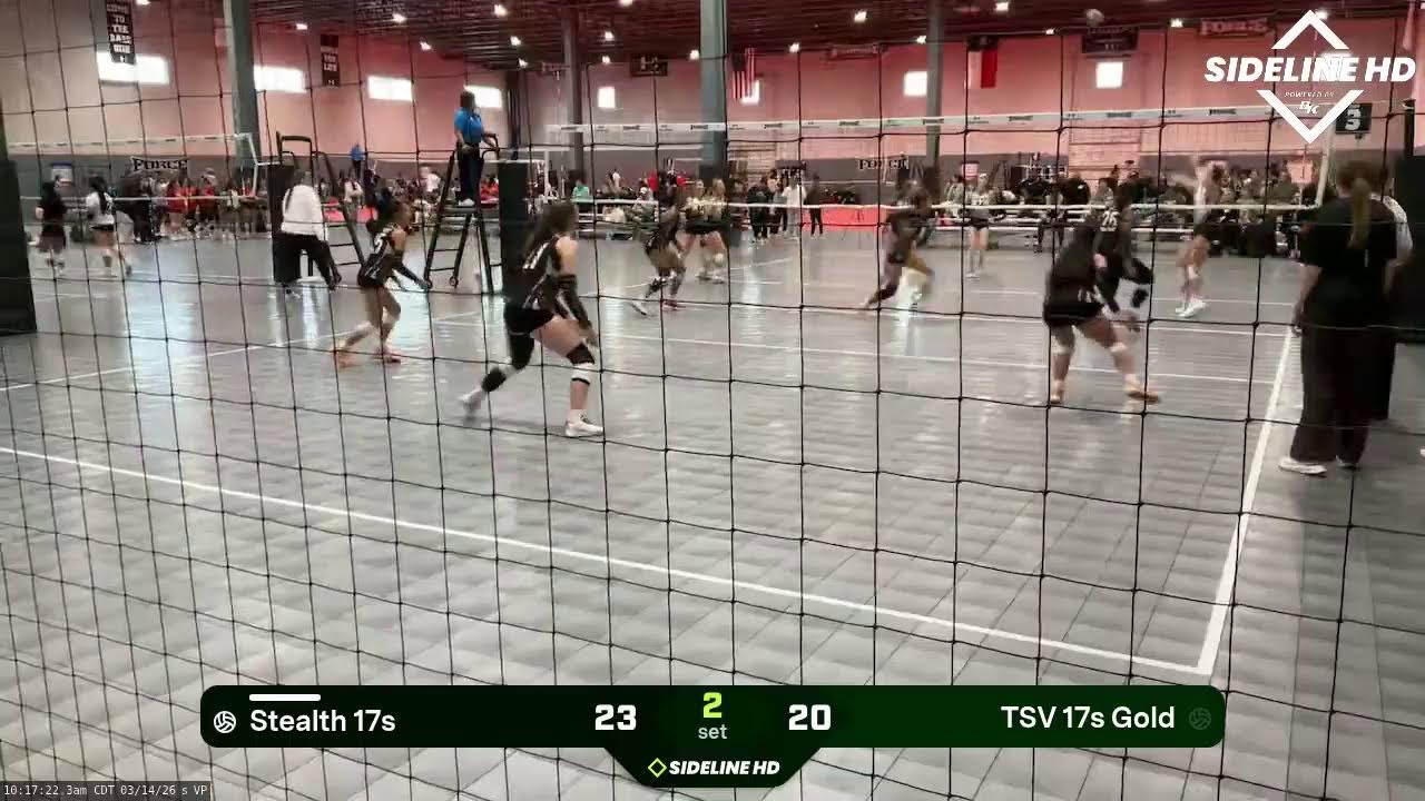 TSV 17s Gold vs. Stealth 17s (2026.03.14)