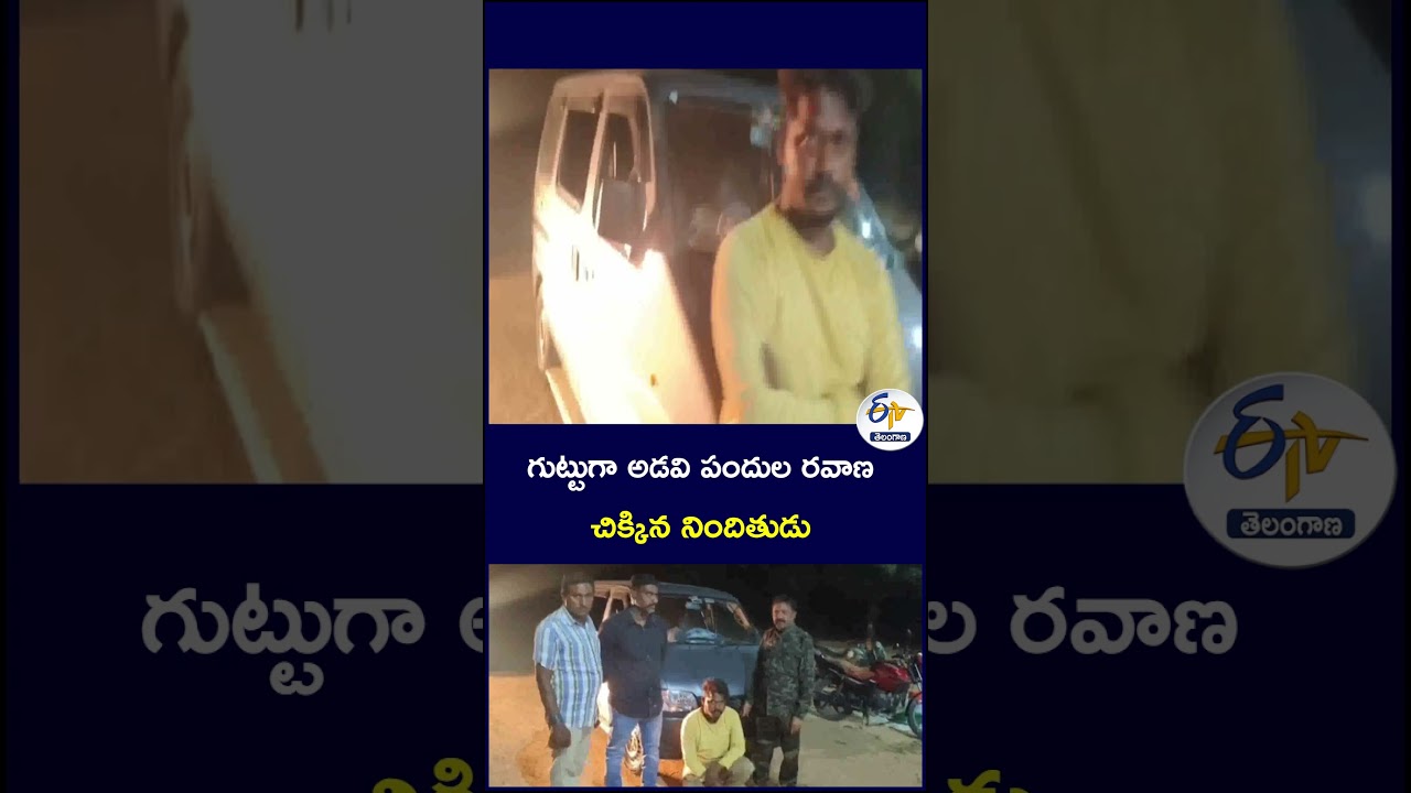 గుట్టుగా అడవి పందుల రవాణ చిక్కిన నిందితుడు #WildBoars #IllegalTransport