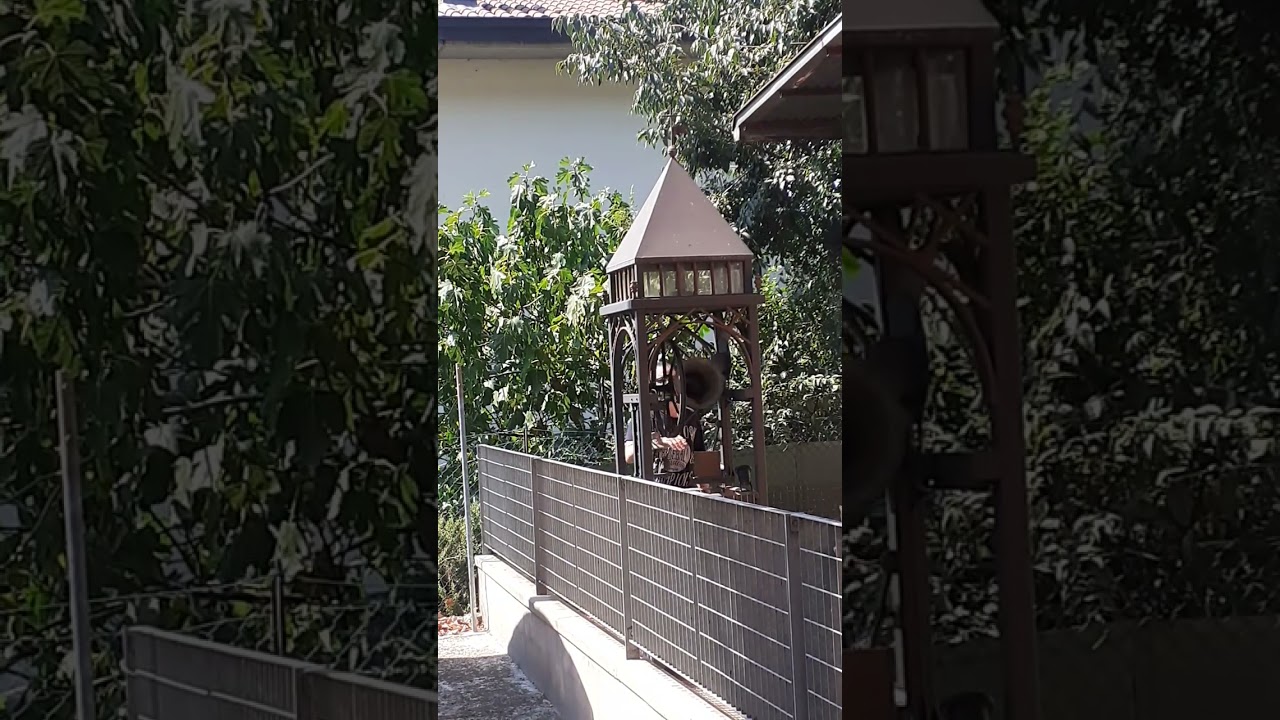 Campanile (civico) Esterno.   Suonata di Ferragosto