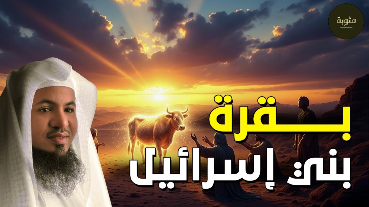 قصة بقرة بني إسرائيل🌿✨ | من قصص الشيخ محمد بن علي الشنقيطي