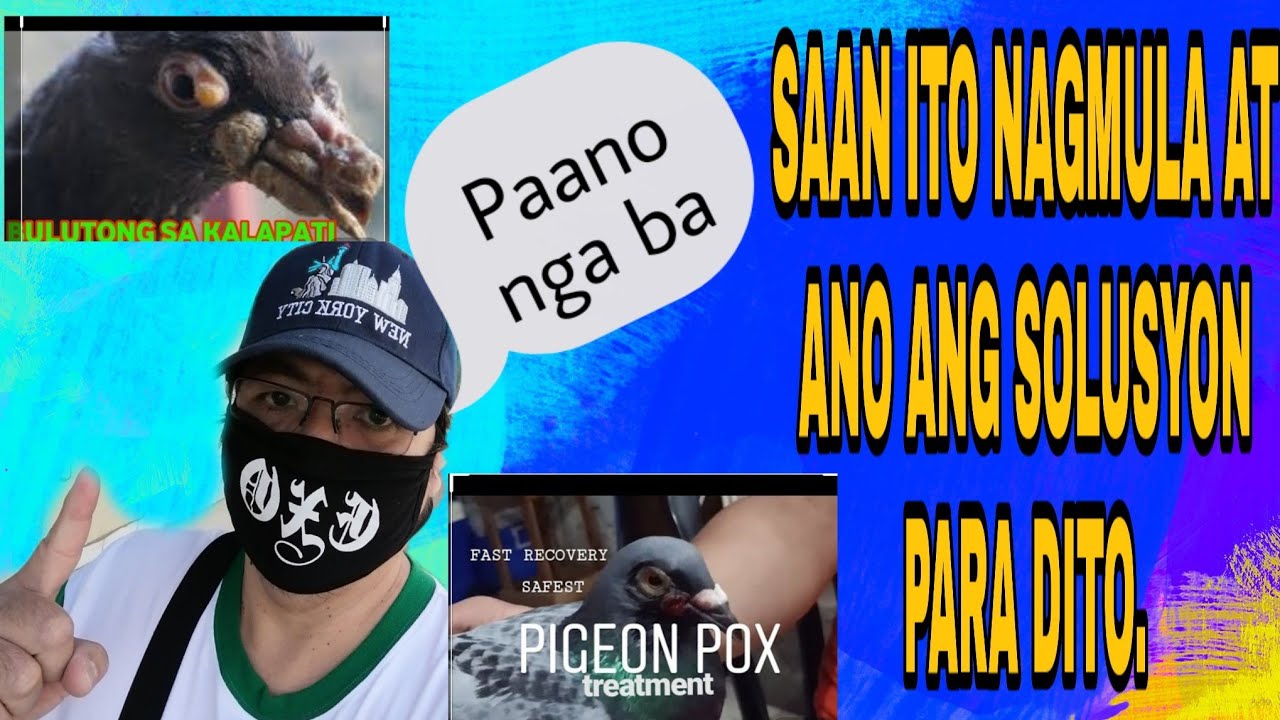 Sanhi ng pagkagkakaroon ng bulutong at saan ito nagmumula/shout out
