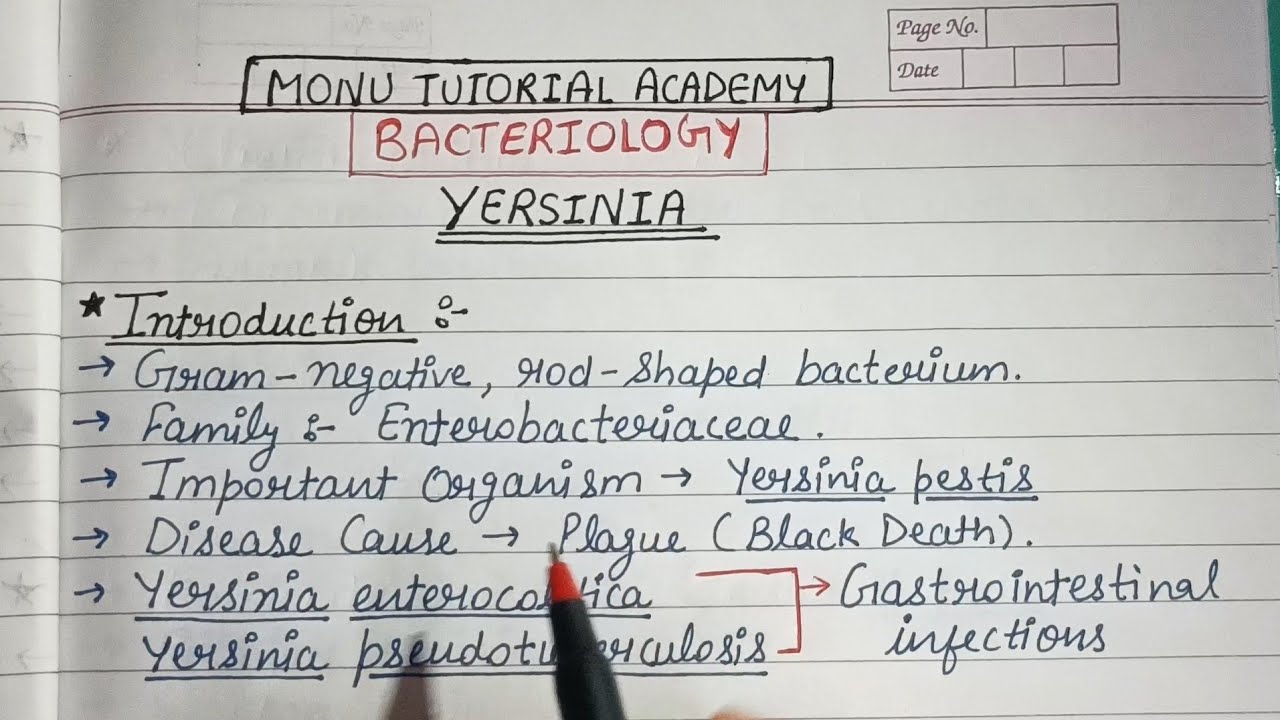 Yersinia Pestis Explained in Hindi | Plague | Microbiology Complete Chapter | Bacteriology