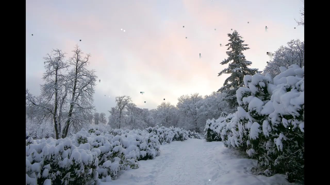 Winter: Barneveld en omgeving in de sneeuw (januari 2026)
