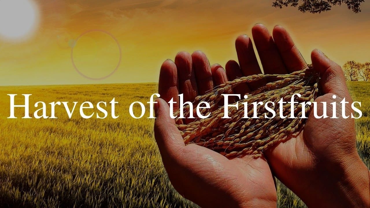 Thankful Harvest of the Firstfruits