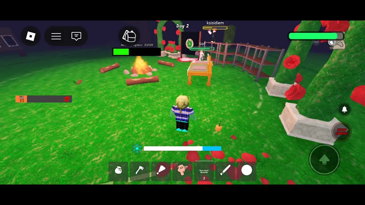 Playing 99 nights in the forest