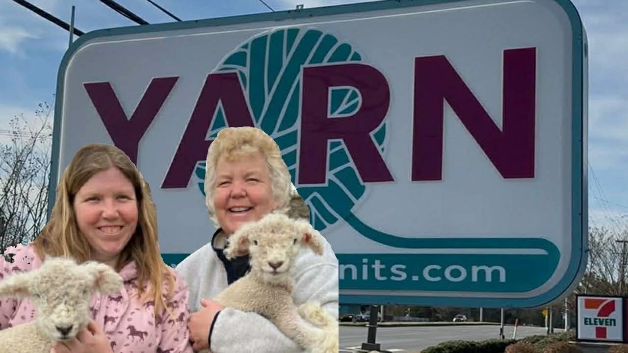 A Trip to The Yarn Club Virginia Beach, Virginia