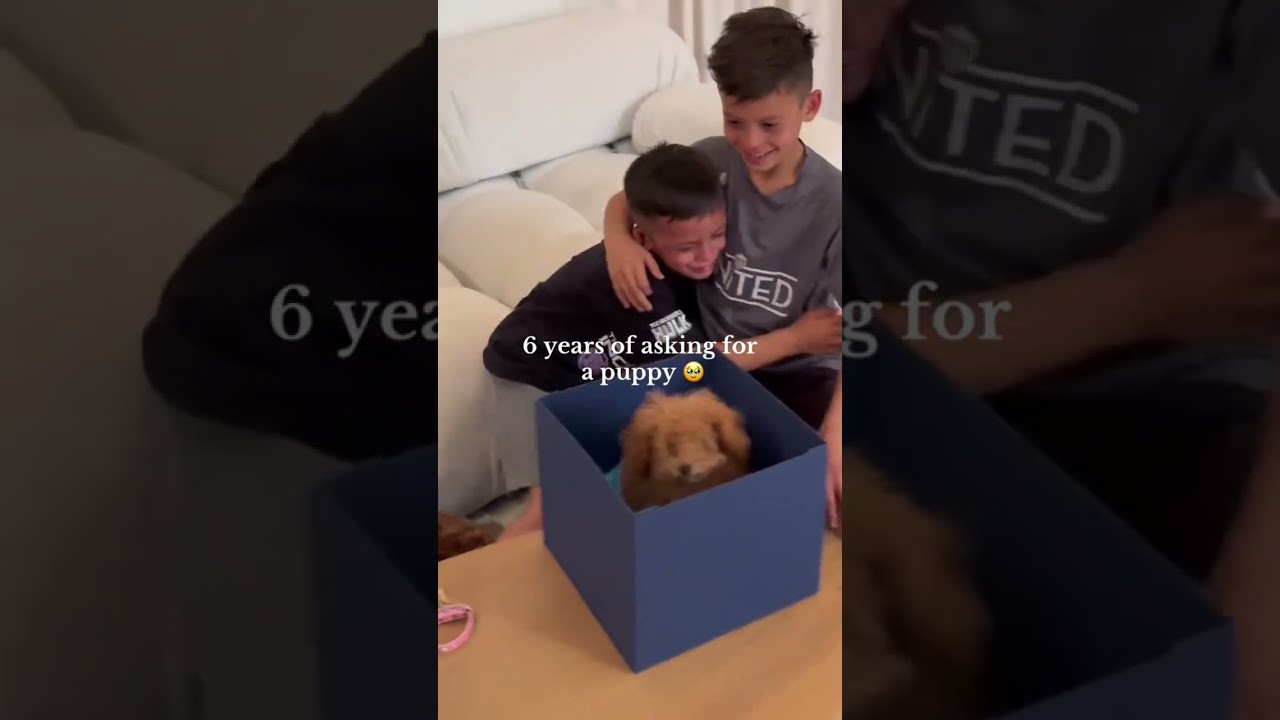 Most emotional puppy surprise for kids 