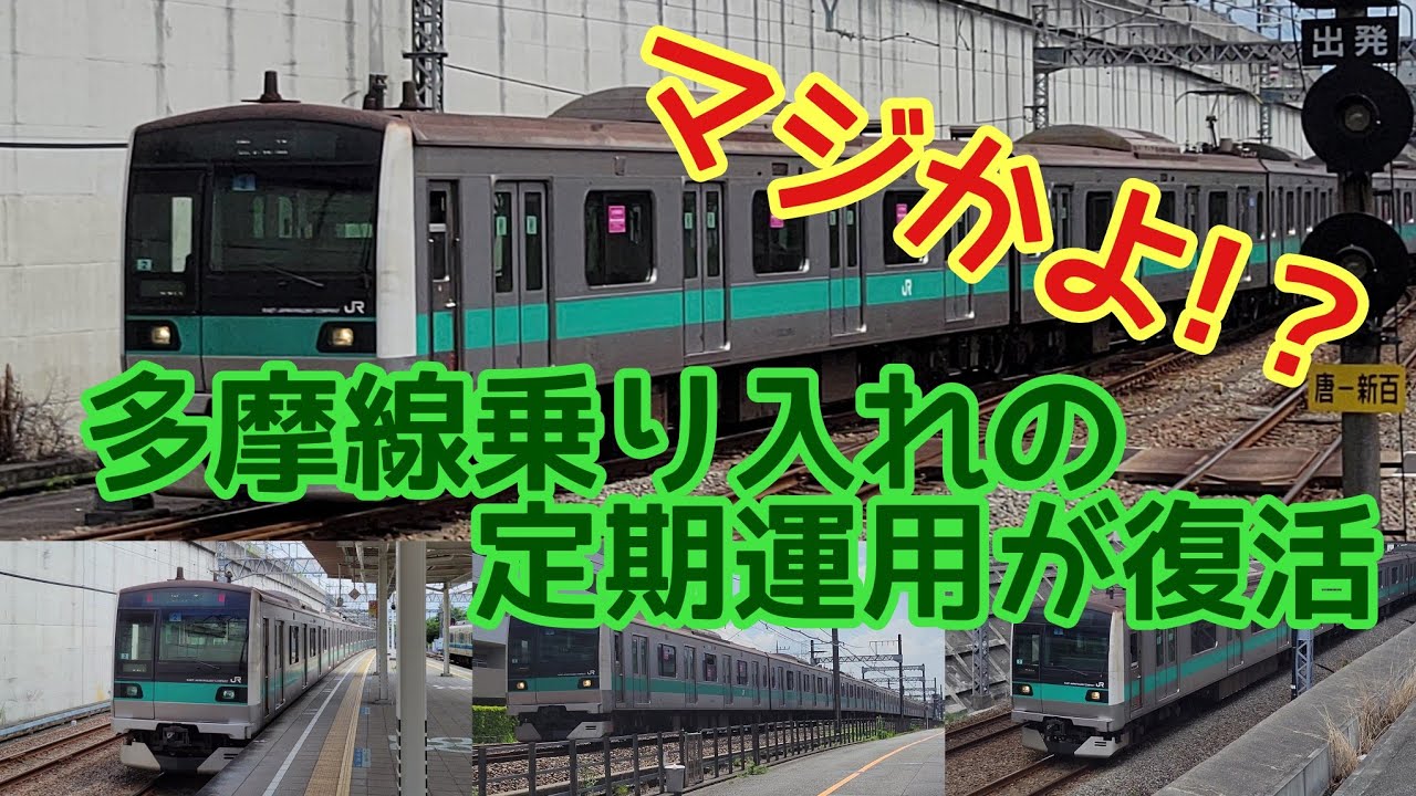 まさかの復活を果たした233系の多摩線乗り入れを見てきた！