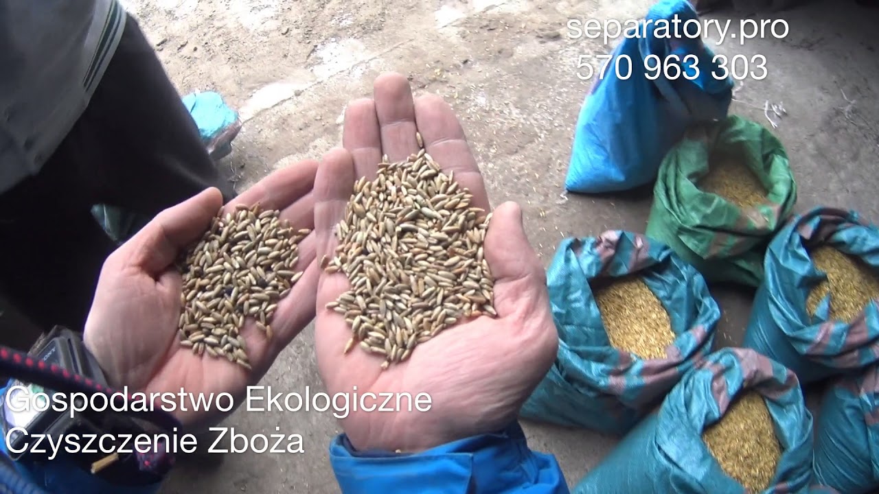 Czyszczenie Zbóż  Ekologicznych Owies,Żyto, Mieszanka Separator 5 t/h