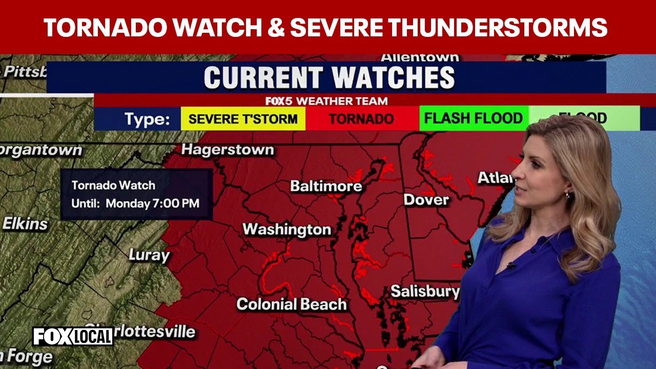 2PM FORECAST: Tornado Watches and Severe Thunderstorm Warnings remain across DMV