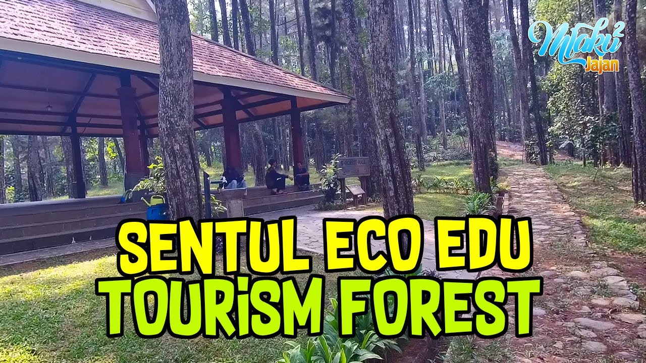 Sentul Eco Edu Tourism Forest, Hutan Wisata Kerjasama Indonesia dan Korea