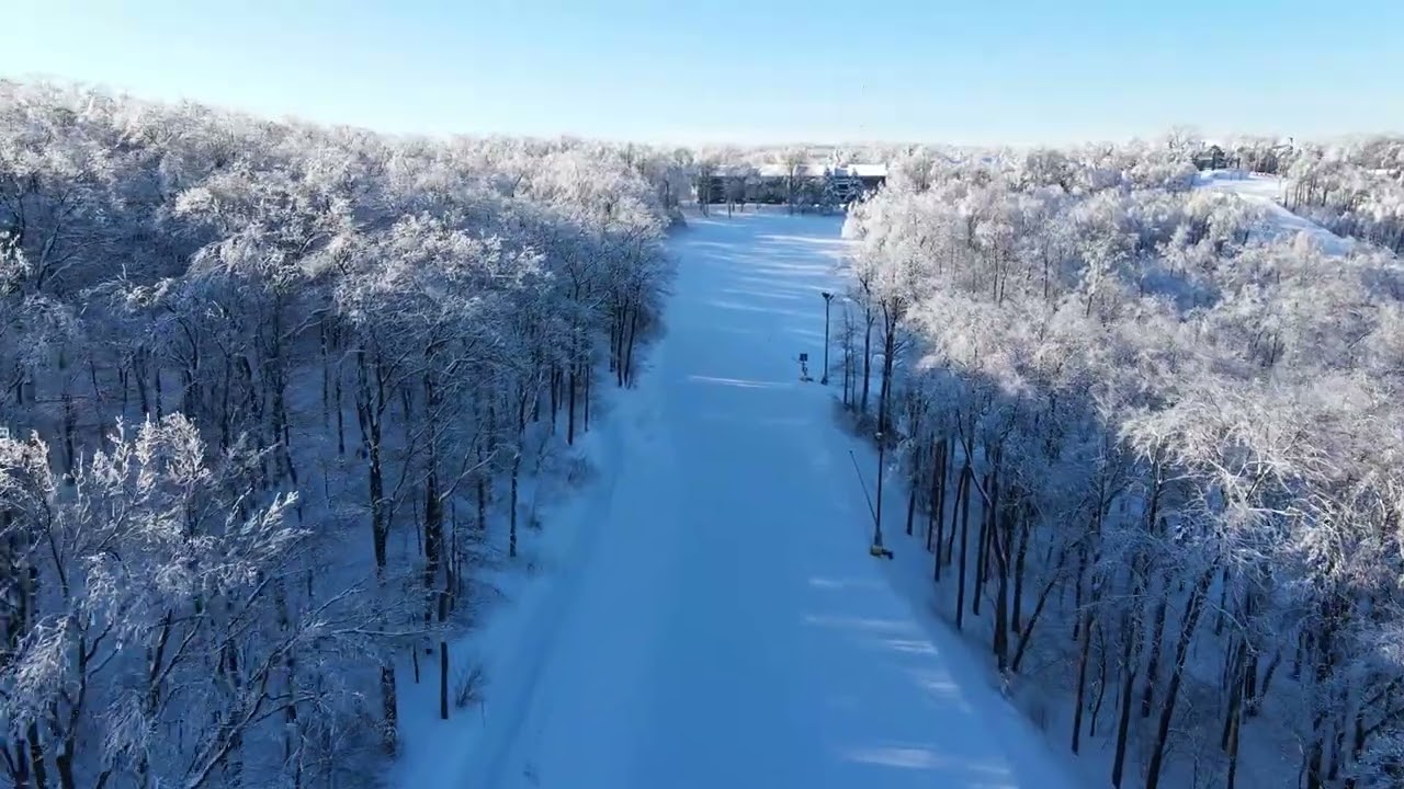 4K Winter Wonderland: Drone Footage of Snow-Covered Forest 🌲❄️ | #DroneScenery #NatureBeauty