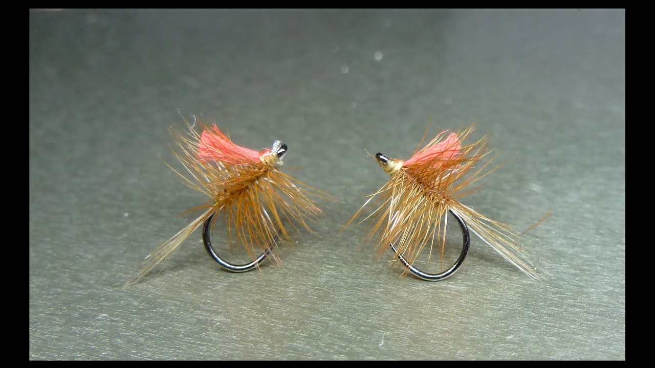 Palmer Roux Tag rouge