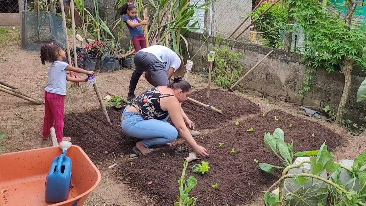 Frutas enxertada ?(todos os frutos)vamos até a loja veja os preços @TILAPIAMinhaVida #rural #sitio