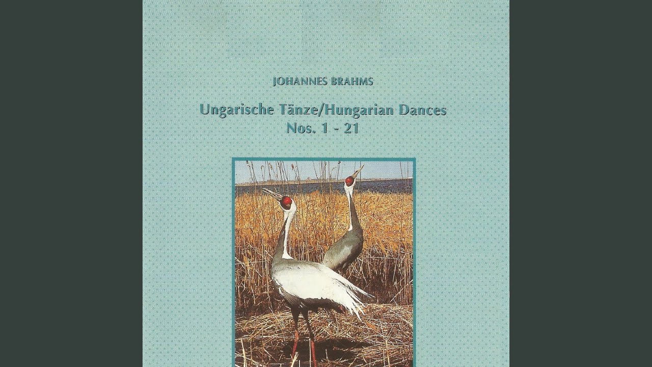 21 Hungarian Dances (Orchestra) No. 5 in F-Sharp Minor, WoO 1: I. Allegro