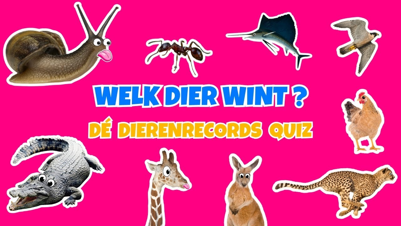 De gekste dierenrecords 🐆 | Snelheid, kracht en verbazingwekkende feiten | Dierendag quiz kinderen