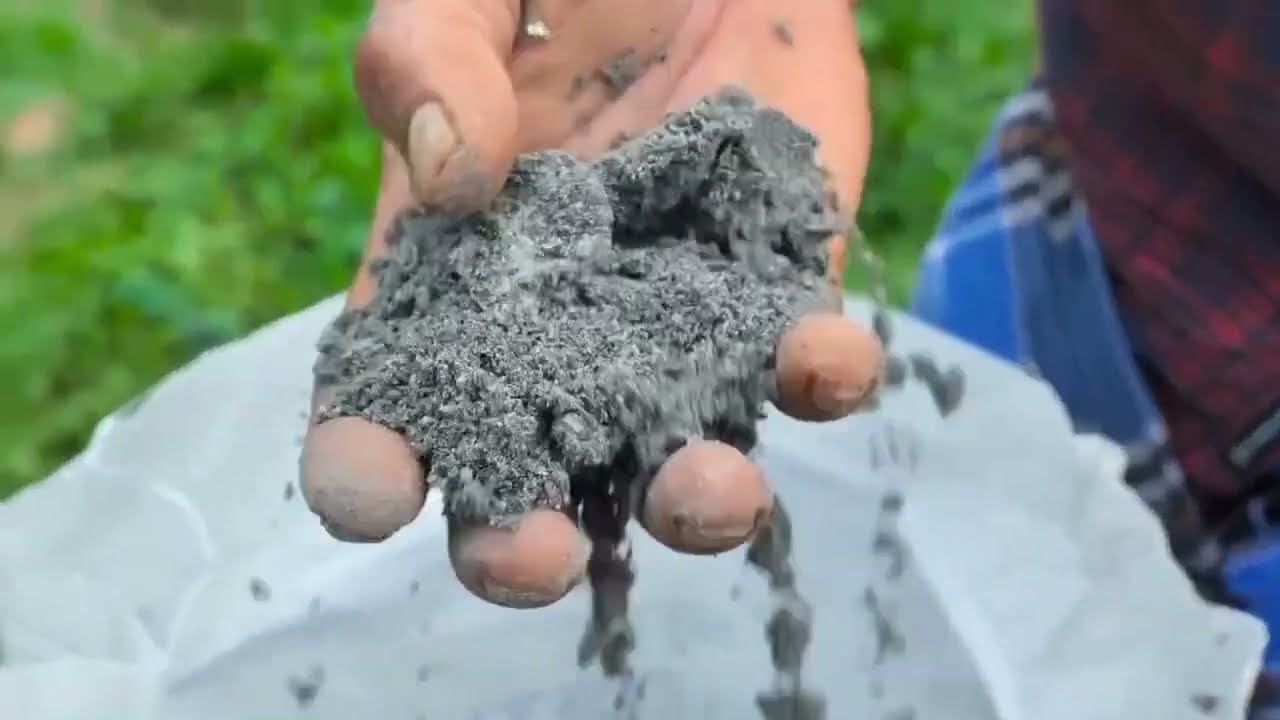 സസ്യങ്ങളുടെ🌿🍀🌿 ശരിയായ വളർച്ചയ്ക്കും ജീവനുള്ള മണ്ണിനെ നിലനിർത്താനും മണ്ണിന്റെ pH ബാലൻസിങ്ങ് #coconut 
