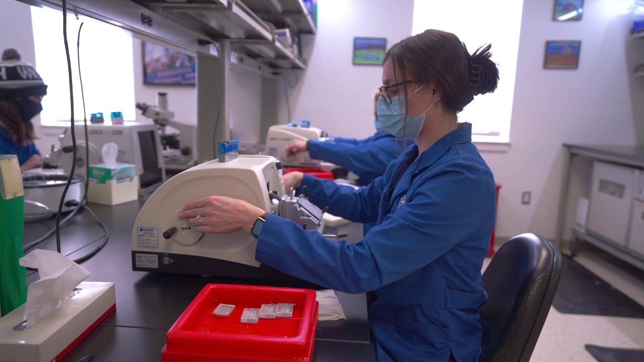 UNH Tour Stop: The Veterinary Diagnostic Lab