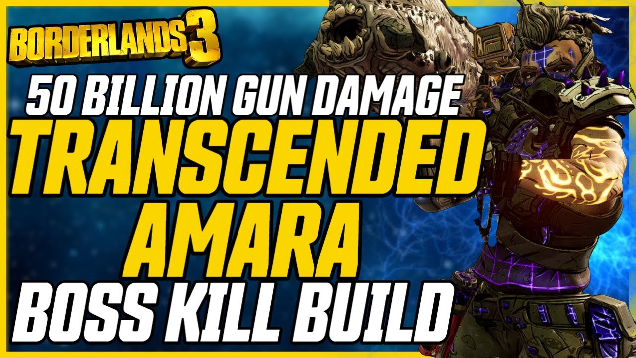 Ultimate Boss Killing Amara Build (+Gamesave) // Transcended Amara V2 // Borderlands 3