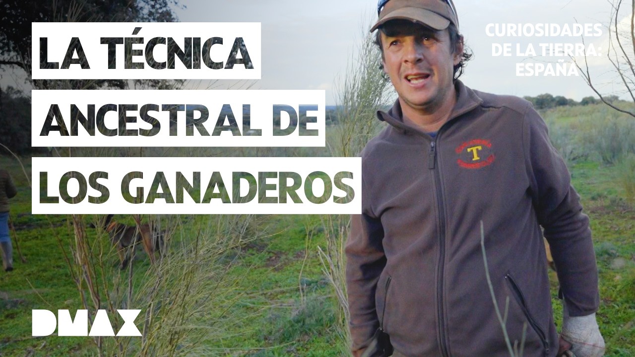 24 horas siendo ganadero trashumante | Curiosidades de la Tierra: España