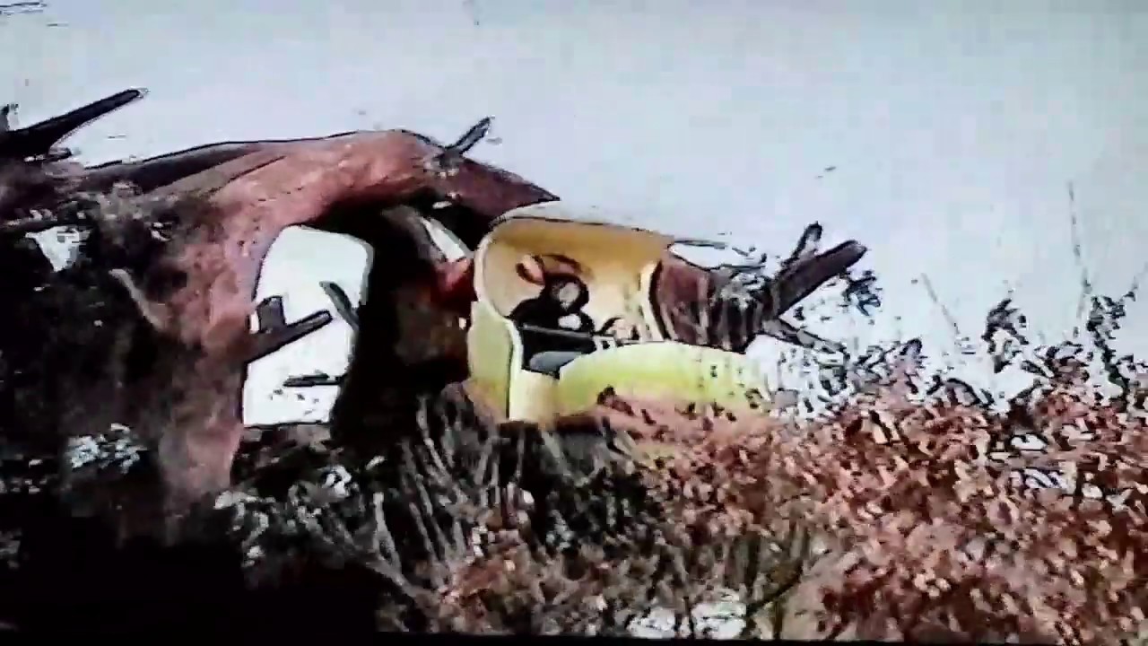 Alton Towers Lost Lands 2004, Old Macdonalds Farm, Storybook Land & Ribena Berry Bish Bash