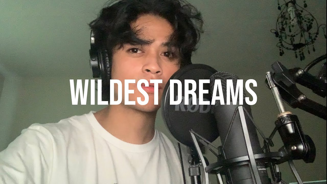 Taylor Swift - Wildest Dreams (Cover)