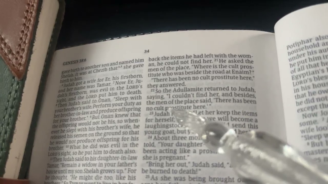 Joseph in Potiphar’s House