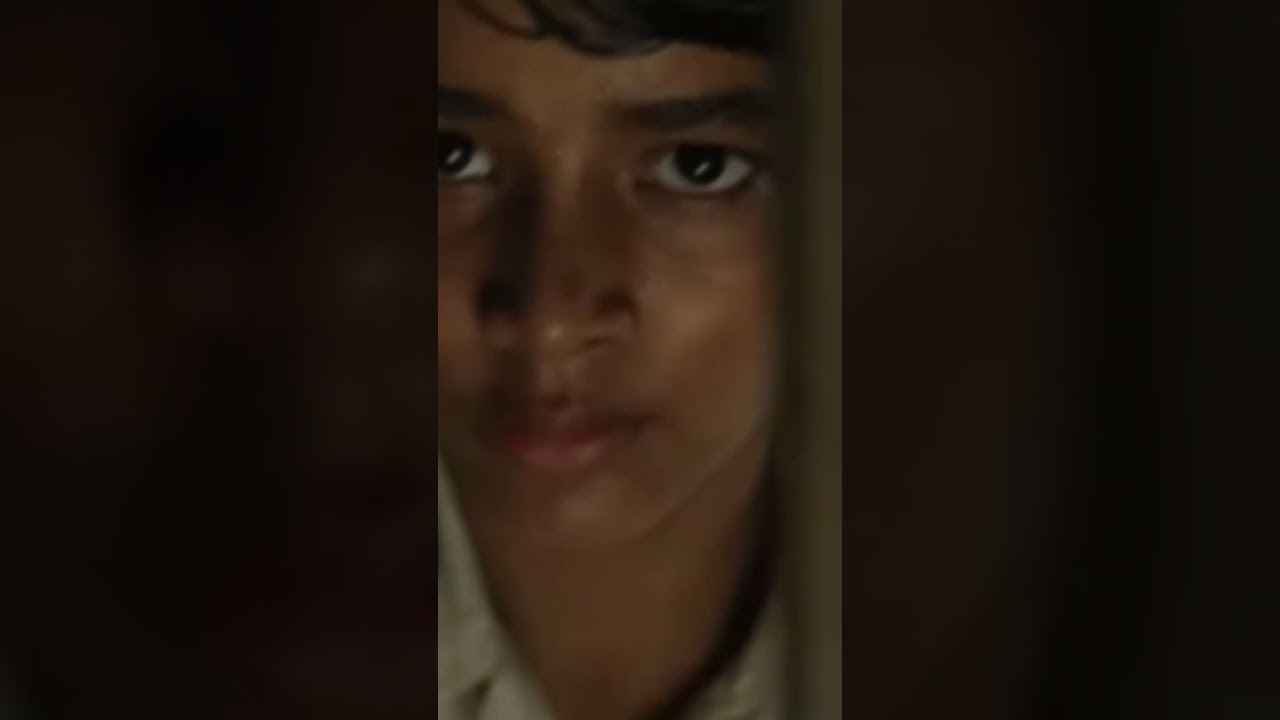 Bangladeshi tiger 🐯 it is movie clip of Life of pi 