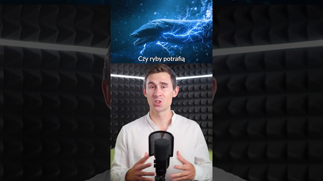 Czy ryby potrafią wytwarzać prąd?
