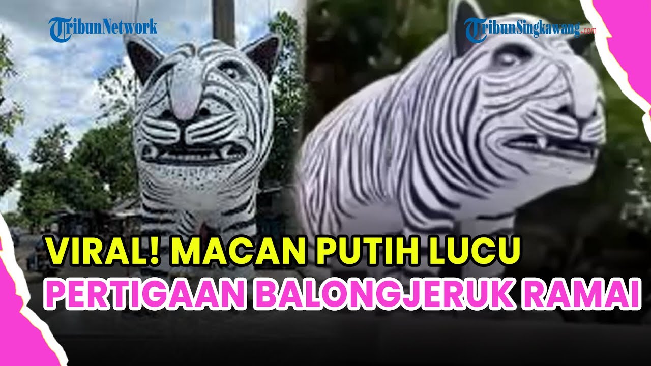 🔵 VIRAL! PATUNG MACAN PUTIH GEMUK BERWAJAH LUCU DI KEDIRI MENJADI WISATA DADAKAN