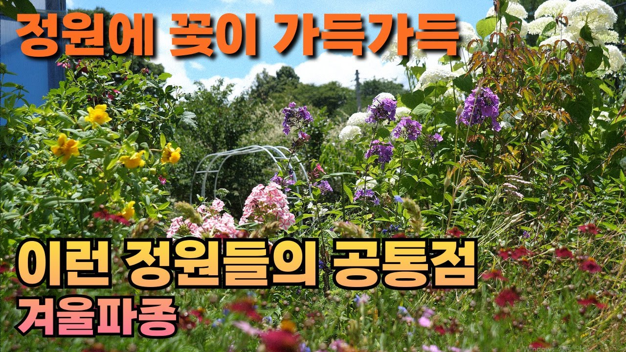 꽃이 풍성한 정원을 만들기 위한 필수 작업, 겨울파종을 알려드립니다
