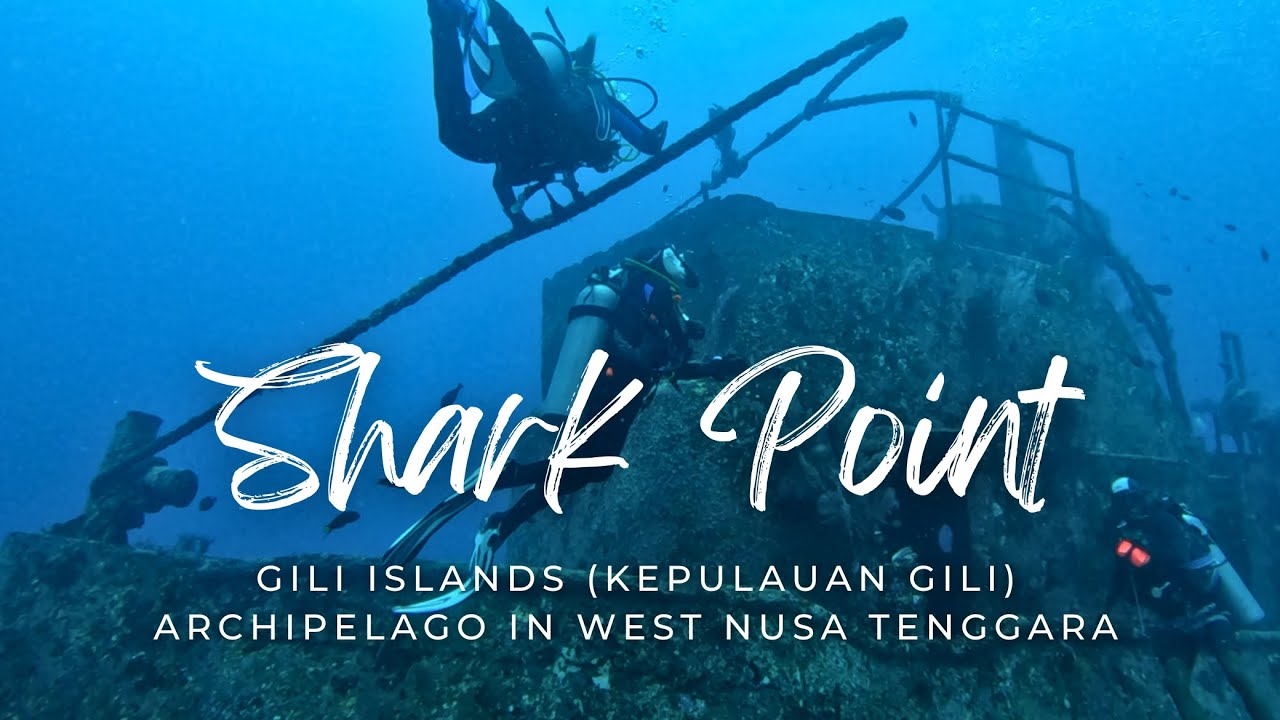 Shark Point Secrets: Diving into the Deep #gilitrawangan #scubadiving