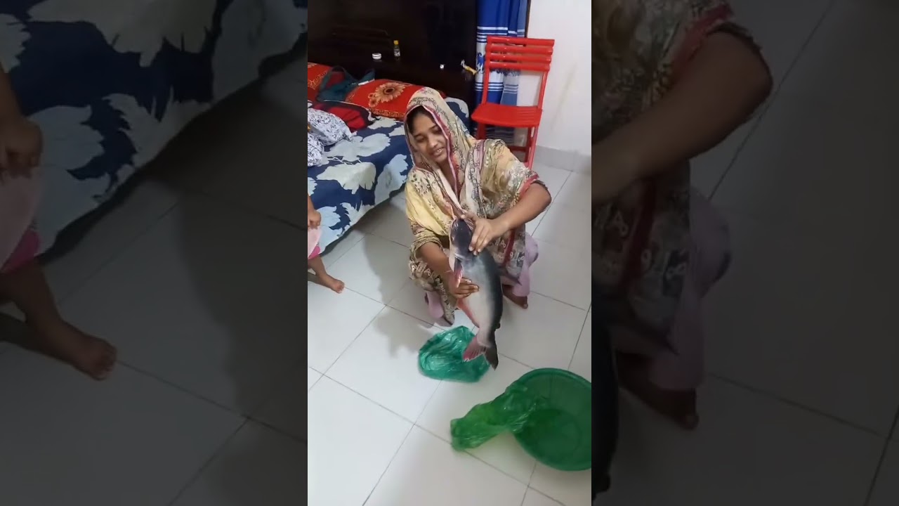 পাঙ্গাস মাছ নাকি আমার জামাইয়ের অনেক পছন্দ 