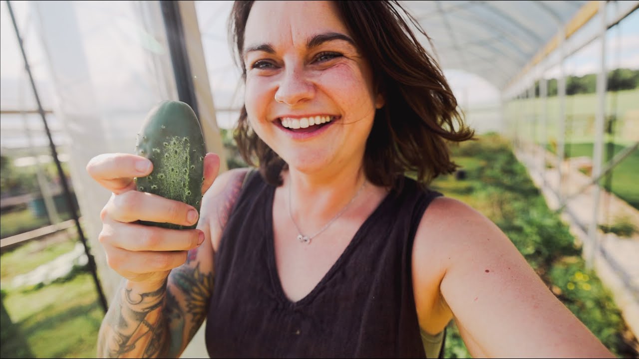 Healed Soil, Bonus Cukes and Tomato Redemption (Not quite a garden tour) | VLOG