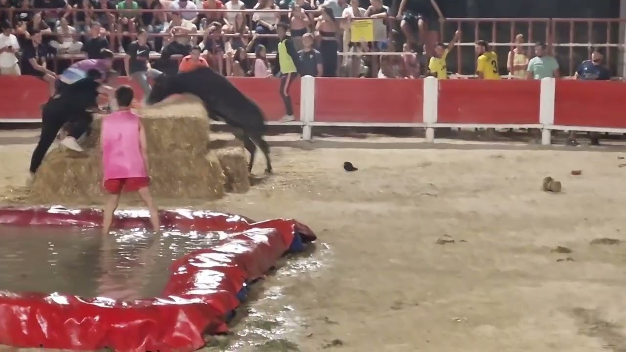 montbazin toro piscine ( la chenille )