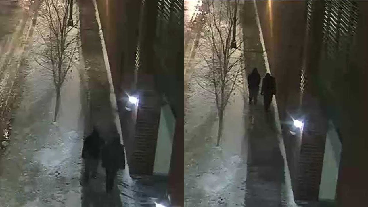 Jussie Smollett attack: Surveillance video shows potential persons of interest in attack, police say