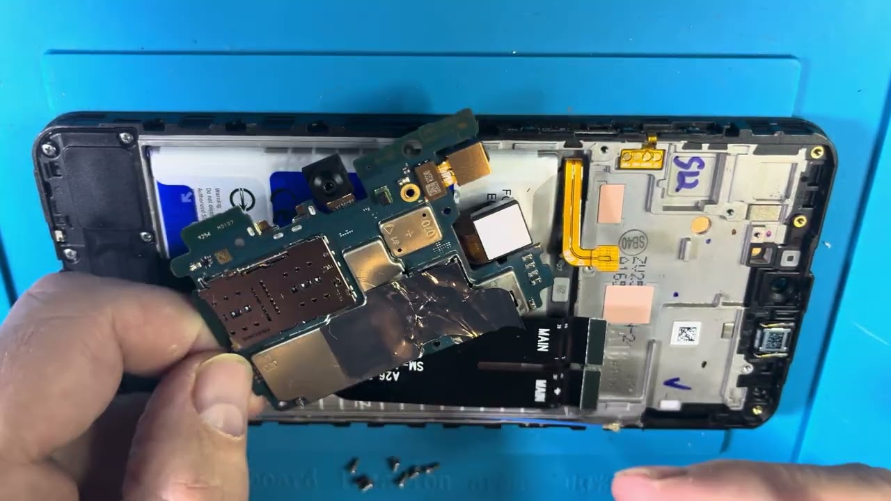 Разборка - Сборка Samsung A165 5G phone disassembly a16