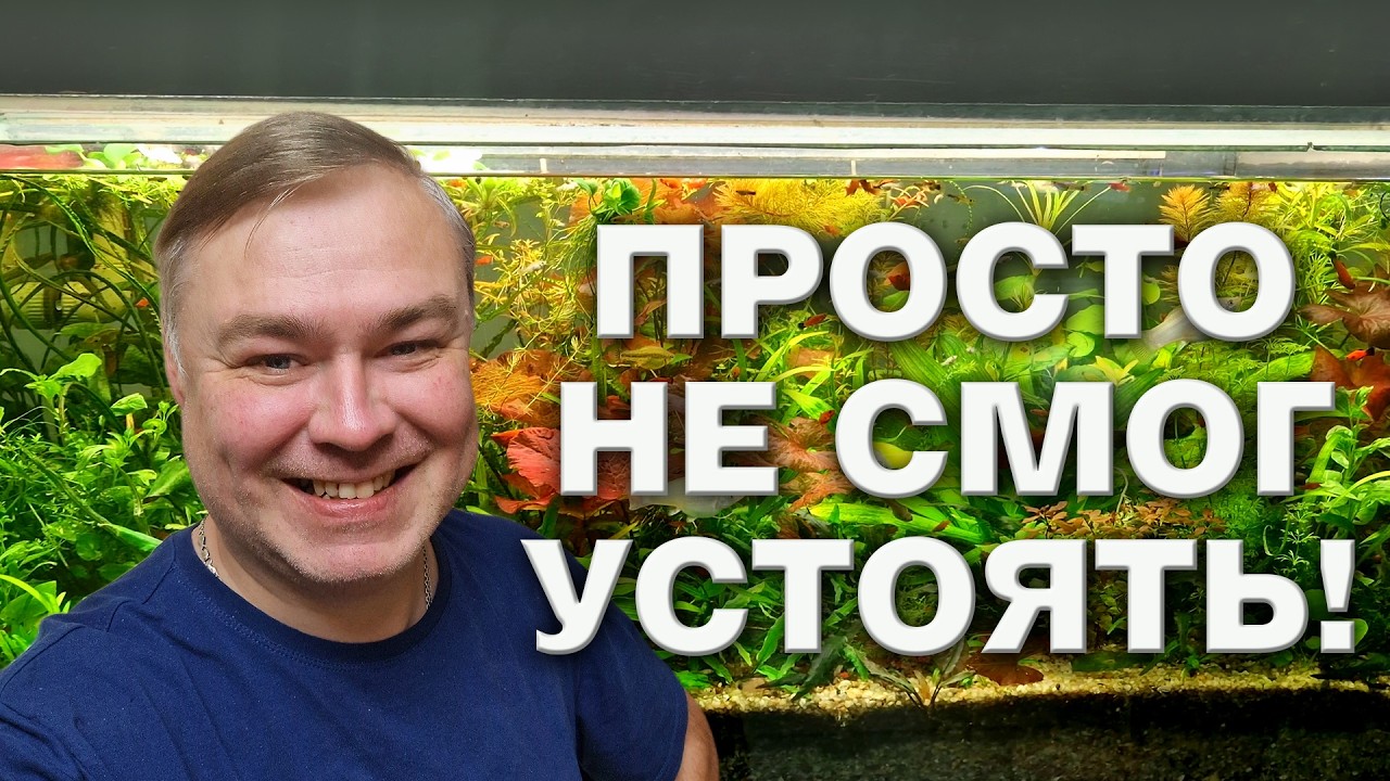 Я не смог устоять! Неожиданная покупка в аквариумном магазине. Влог.