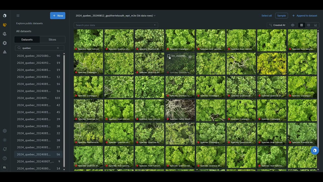 🌿 Labelbox × Pl@ntNet — Demo embeddings BioCLIP2