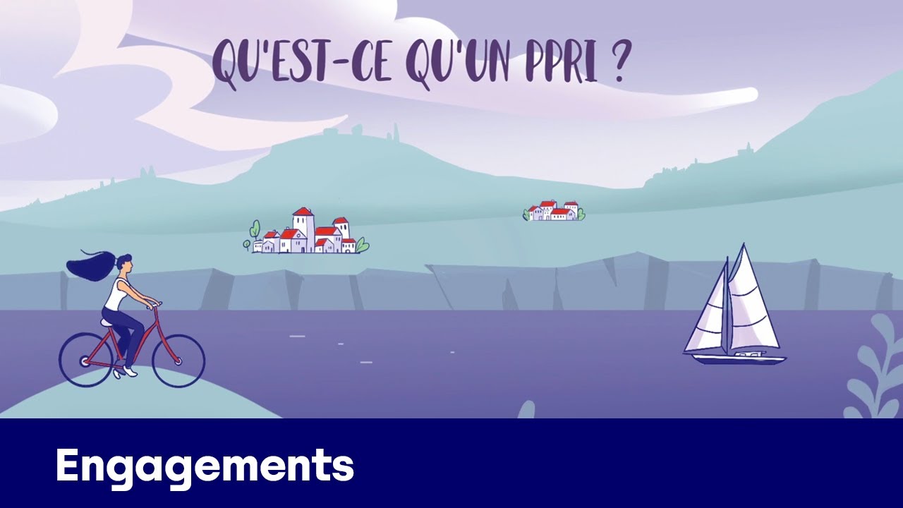 Qu’est-ce qu’un PPRI ?