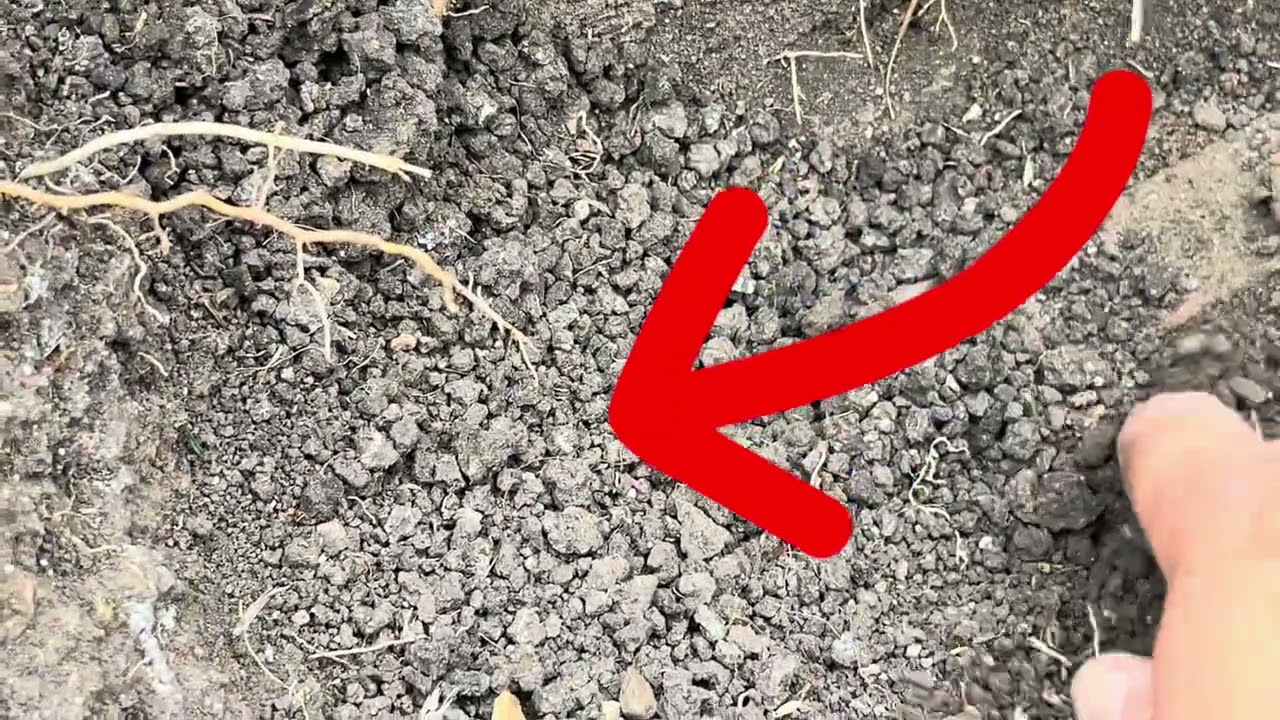 ამოუცნობი ნივთი